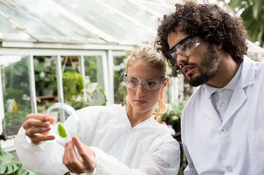 Natural Sciences Managers