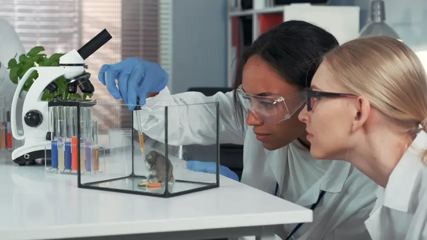Animal Scientists