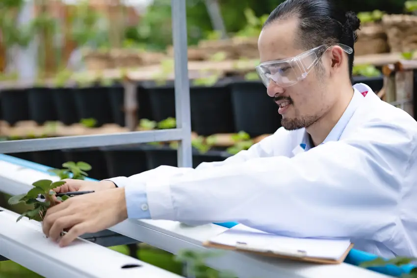 Food Scientists and Technologists