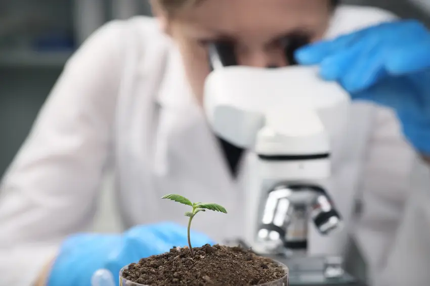 Soil and Plant Scientists