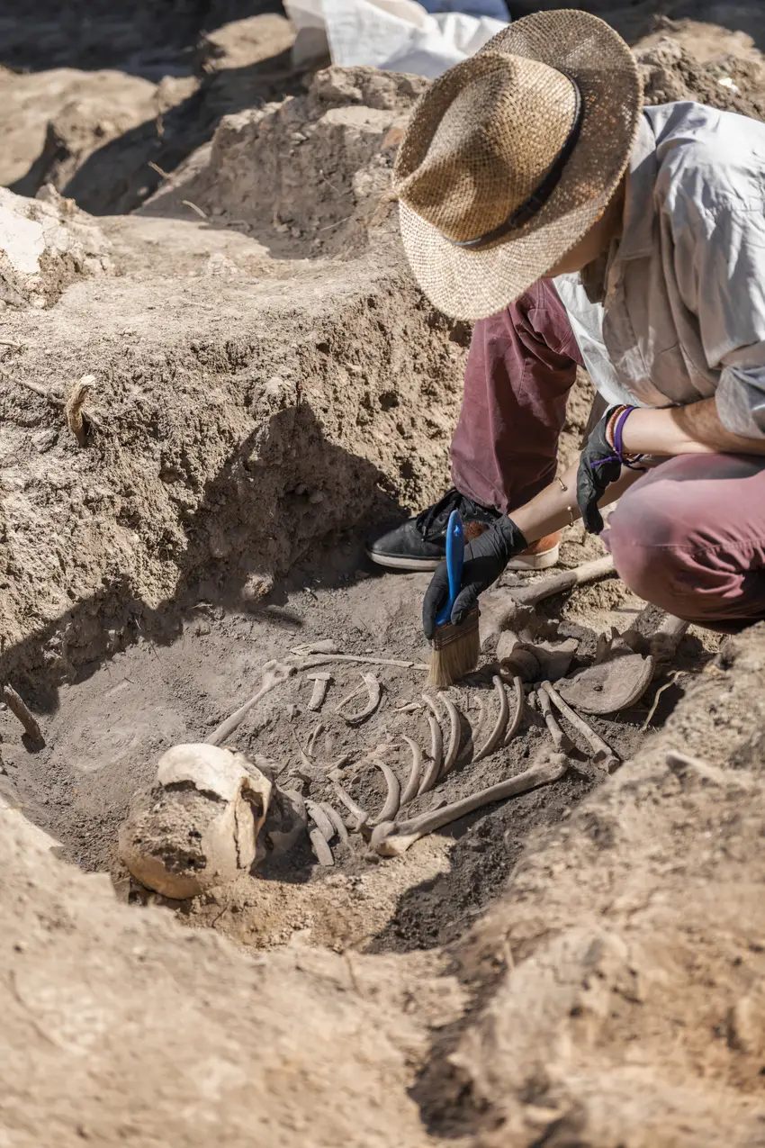 Anthropologists and Archeologists