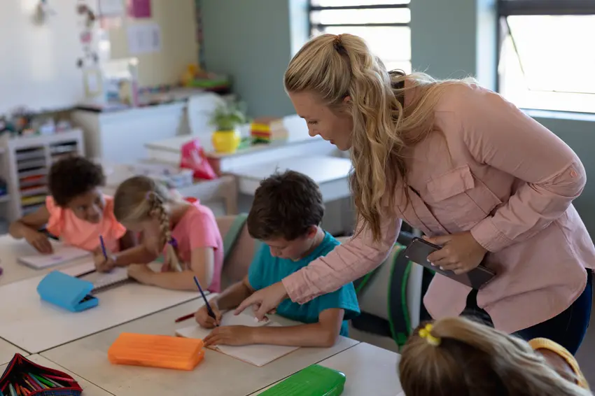 Elementary School Teachers