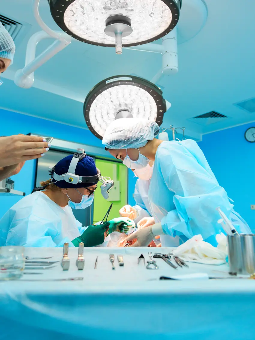 Oral and Maxillofacial Surgeons
