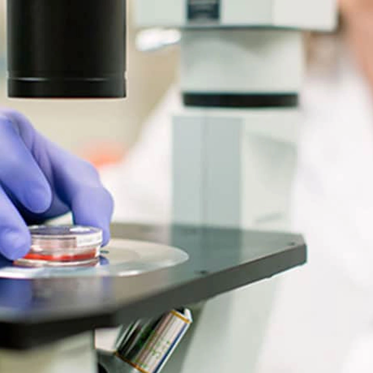 Cytogenetic Technologists in Medical Laboratories