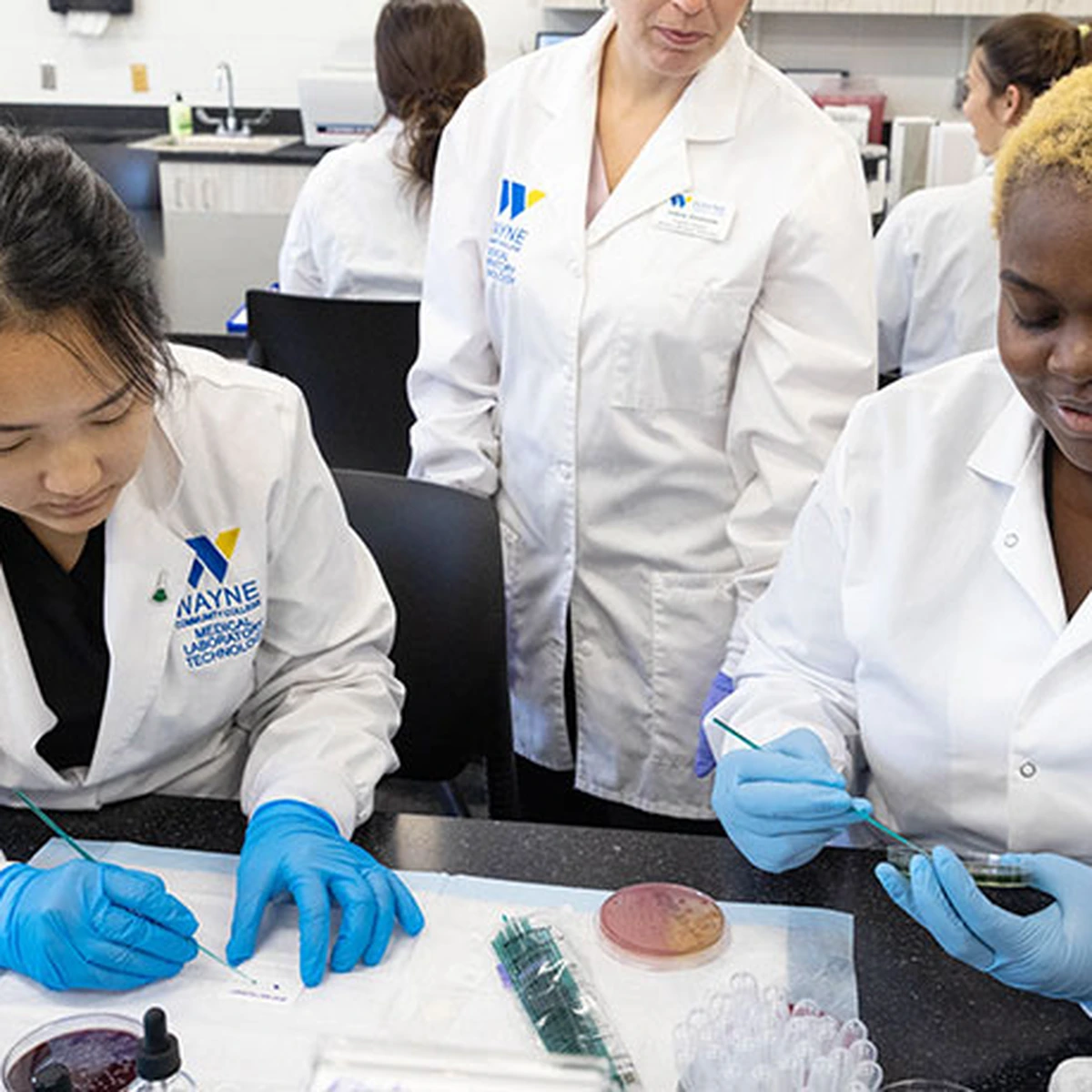 Medical and Clinical Laboratory Technicians