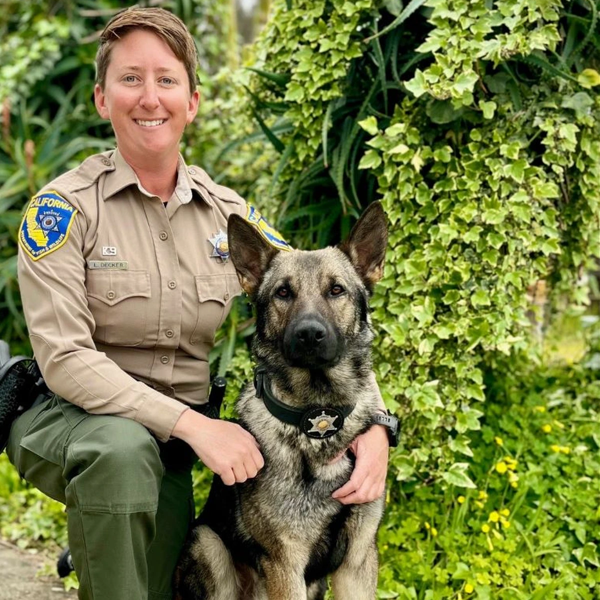 Fish and Wildlife Wardens