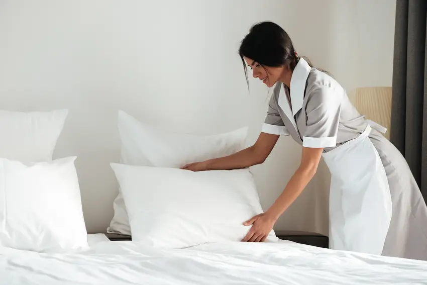 Housekeeping Cleaners