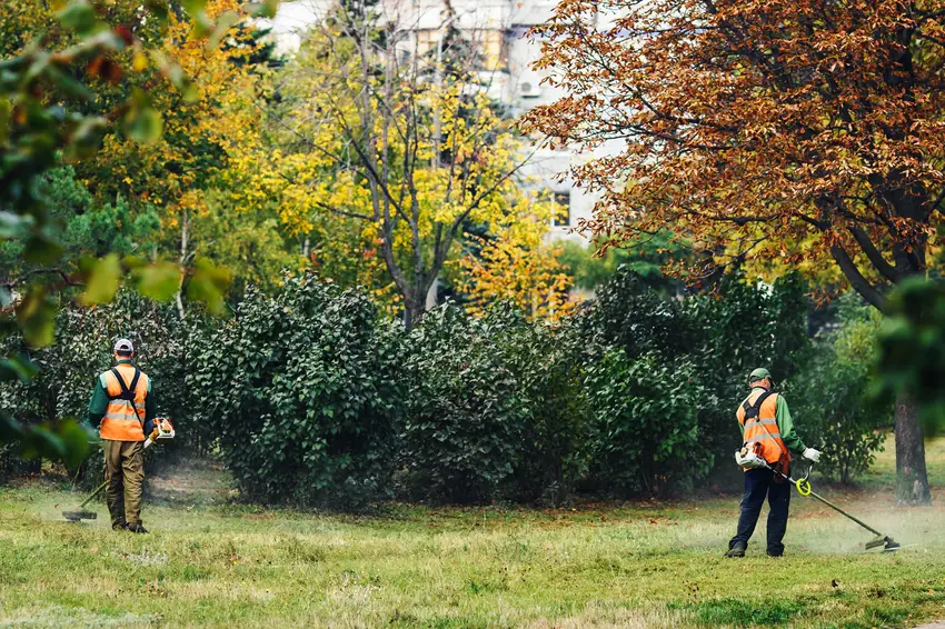 Landscapers