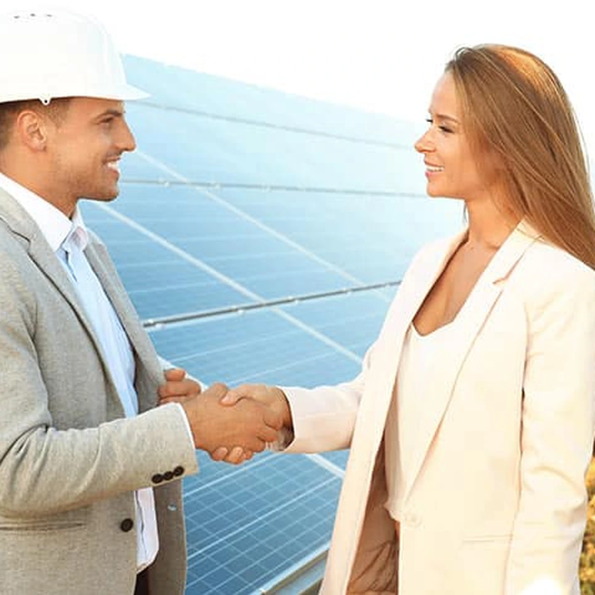 Solar Sales Representatives and Assessors