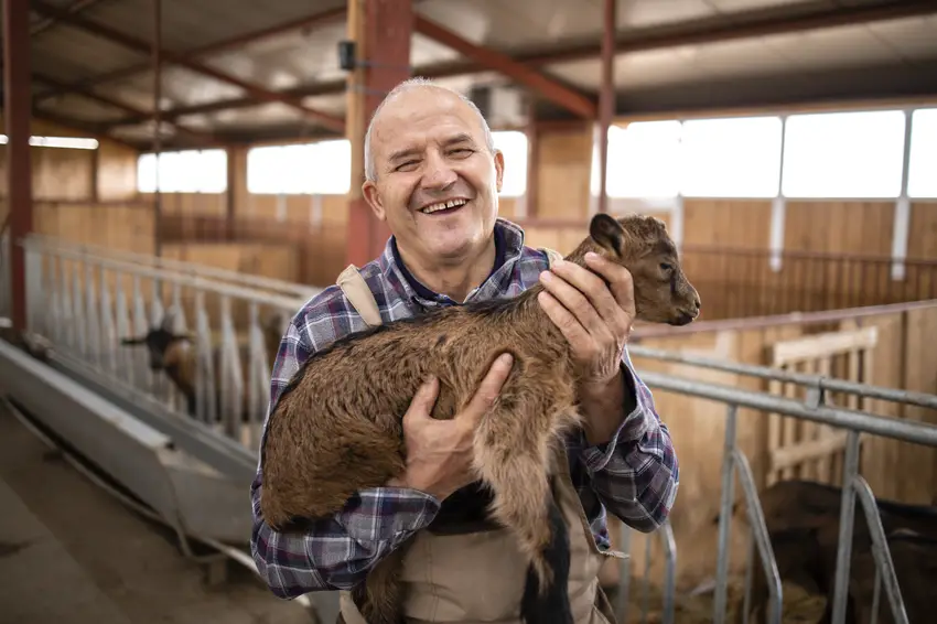 Livestock Breeder